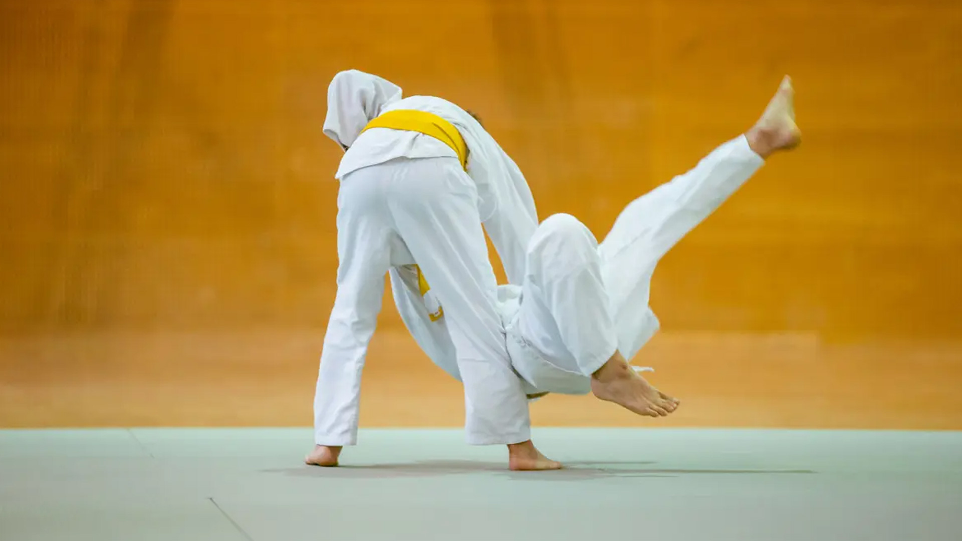 Judo This martial art instills  discipline, respect, and self-defense skills, empowering students with confidence and a sense of personal security.